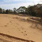 Sand Dunes