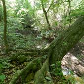 West Point River Park