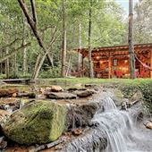 Secluded cabin with pond in national forest