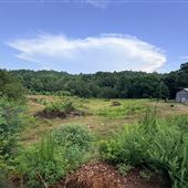 Secluded Acreage with old barn and ponds