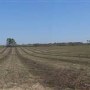 Hawkinsville Road