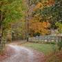 Yellow Mountain Ranch
