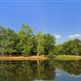 Cooper Creek