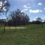 Whatley Farm