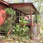 The Writer's Cabin
