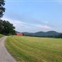 Colima Springs Farm