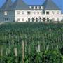 Chateau Elan