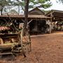 Redwine Farms