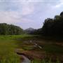 Rockridge Forest Preserve & Wildlife Refuge
