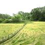 Dahlonega Homestead Farm