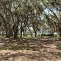R.J. Reynolds WMA Hunt Camp
