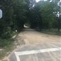Cross Road Hwy206/DicksonMillPond/PineLevelCh Rd