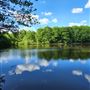 Freedom Lake