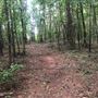 Buford/flowery branch property EXT ONLY
