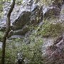 Sittons Cave