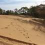Sand Dunes