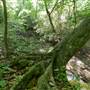 West Point River Park