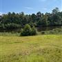 Green Valley Road Campground