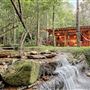 Secluded cabin with pond in national forest