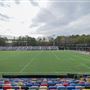 Silverbacks Park
