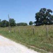 Greer Lane