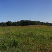 Alcovy Mountain Road Mile Post 6