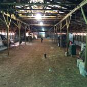 Parker Family Farm
