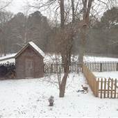 Elders Mill Plantation & Willow Dell Equestrian Center