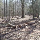 Dragon Hills Retreat LLC