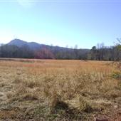 Fields Without Houses
