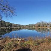 Pine Lake