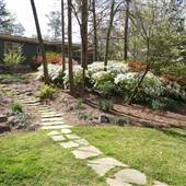 Mid Century Home Near Emory