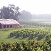 Three Sisters Vineyards & Winery