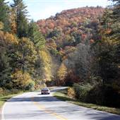 Brasstown Bald Roads