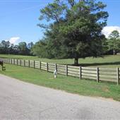 Dilly Dally Farm