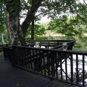 Haynie's Hideaway