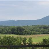 Truelove Farm