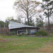 Davis Farms