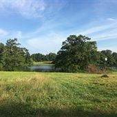 Ray Wing Farm