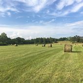Tallapoosa 100 acres