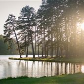 Lake Toccoa