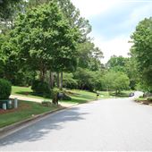 Wood Valley