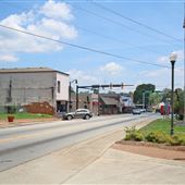 Palmetto