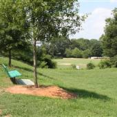 Candler Park
