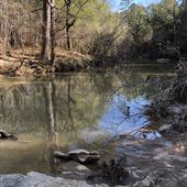 10 acre River woods lot