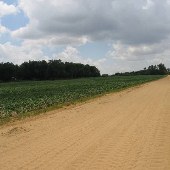 Fields and Dirt Roads