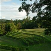 Newby Vineyard & Winery