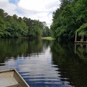 Theo's Property - Lake and Woods
