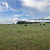 Burch Farm