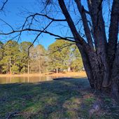 7 acre Estate with a 1 1/2 acre lake and 100 Year old trees